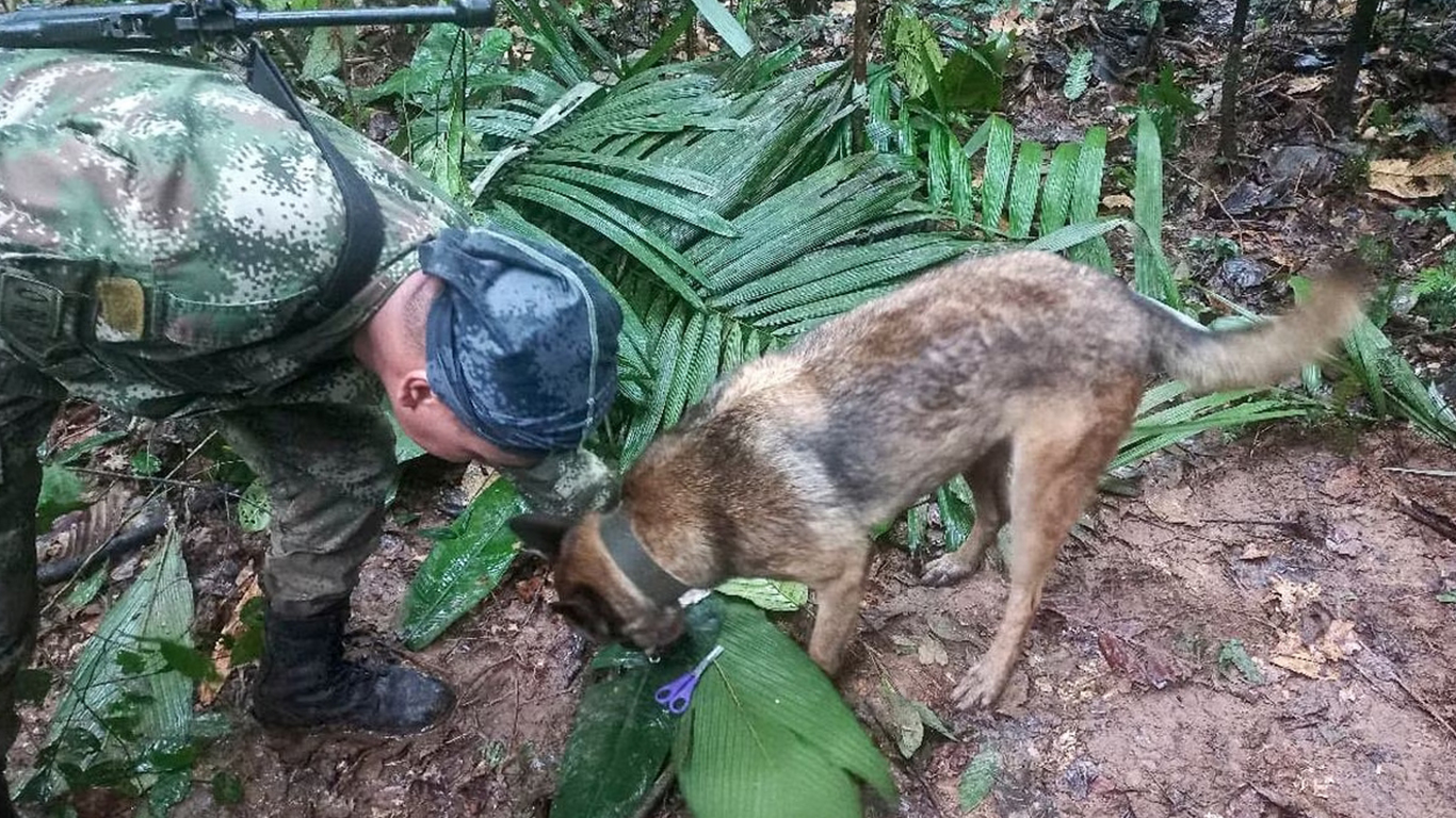 Hallan objetos que sugieren que niños desaparecidos en la selva colombiana podrían haber sobrevivido