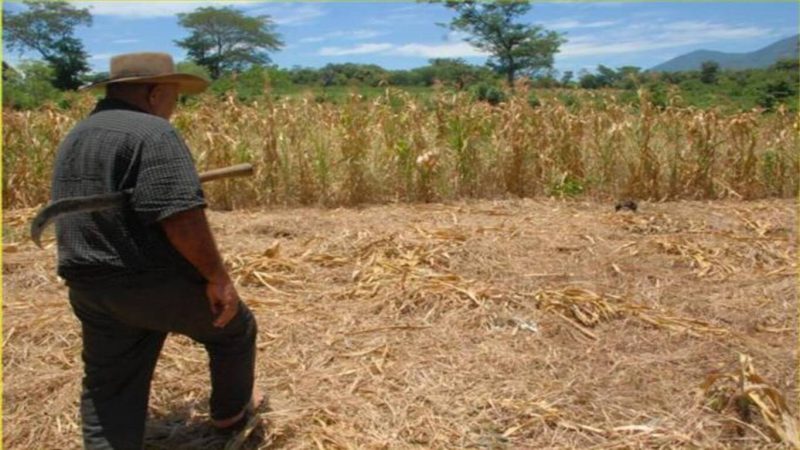 Panamá se prepara para enfrentar la sequía en el próximo verano