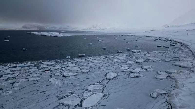 El Ártico podría quedarse sin hielo marino para el verano de 2030, advierte un nuevo estudio