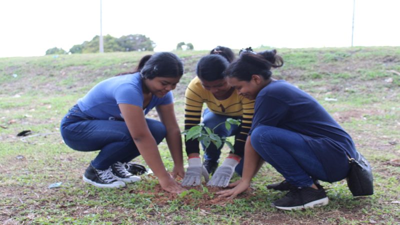 Estudiantes del colegio Ing. Tomás Guardia, se suman al proyecto de reforestación en La Chorrera