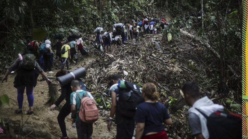 Clan del Golfo obtiene aproximadamente 68 millones de dólares al año por migrantes del Darién.