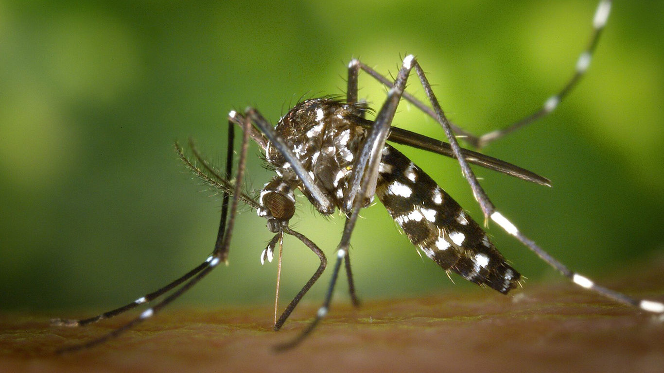 Reiteran crecimiento sostenido de casos de dengue en Panamá Oeste