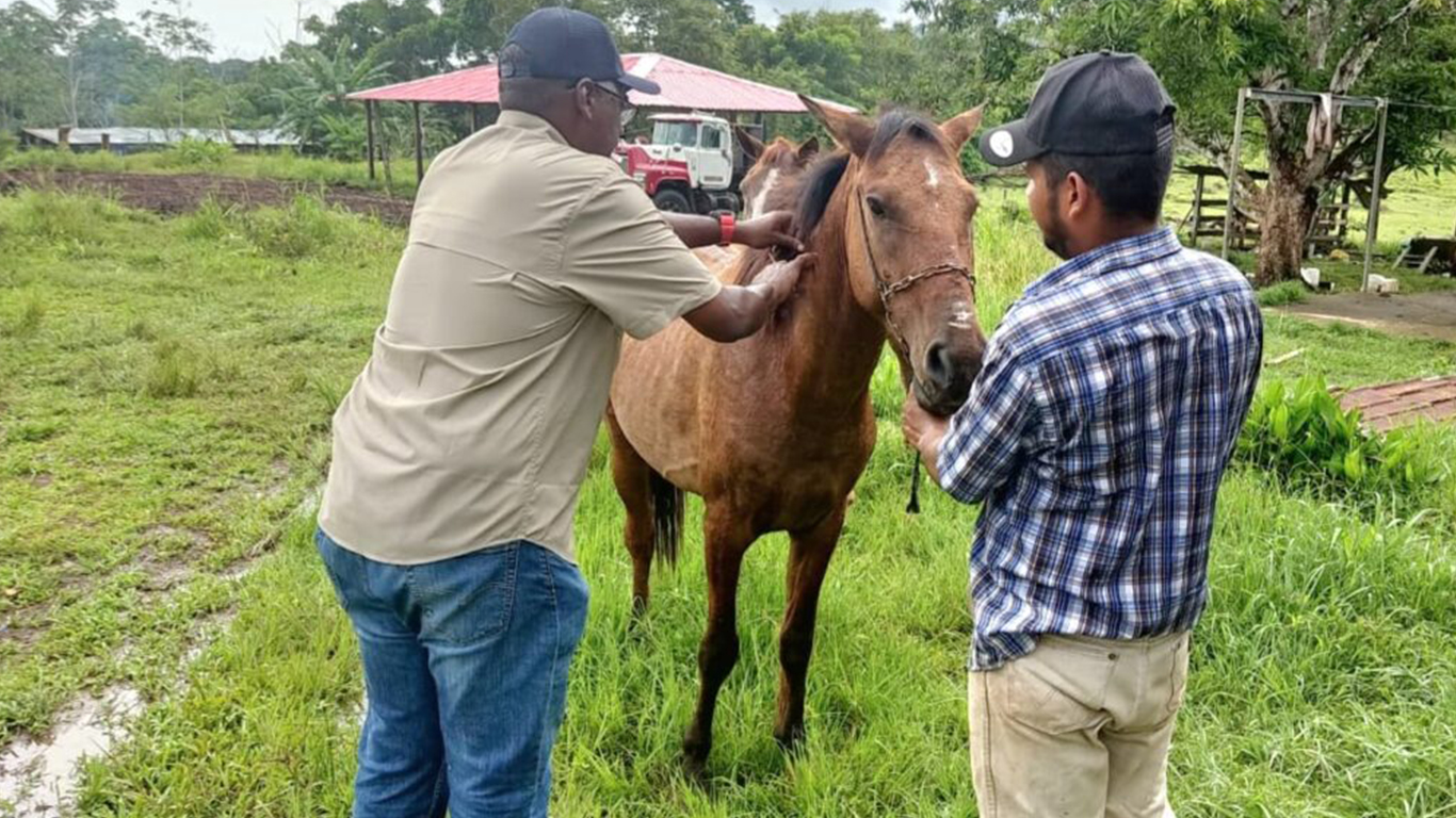 Encefalitis Equina en Darién