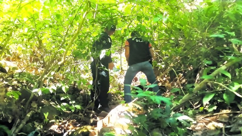 Niños se toparon con un cadáver picado en bolsas en Altos de Howard en Arraiján