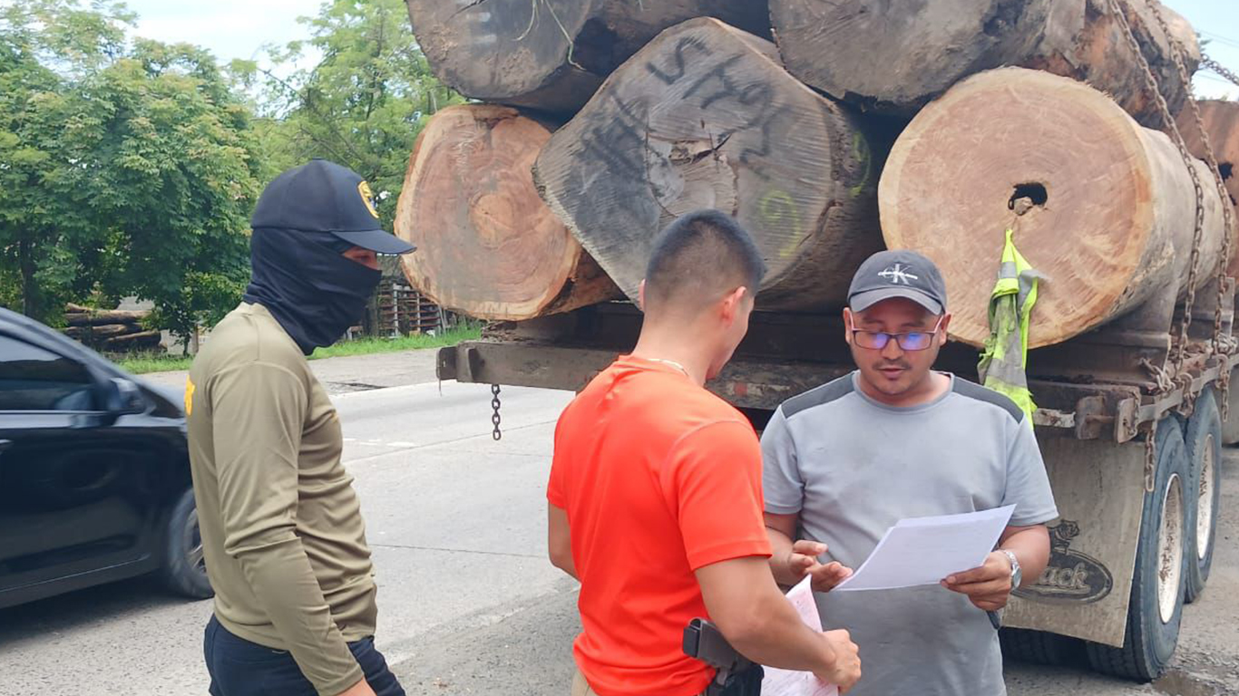 Camión con presunta madera ilegal es retenido en Cañita de Chepo