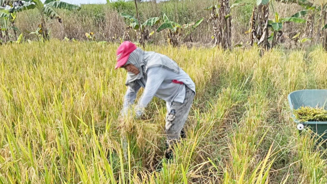 Ministro Linares reitera el compromiso de cumplir con el pago a productores