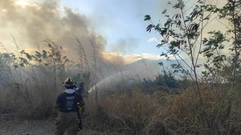 Bomberos panameños se capacitan para combatir incendios forestales