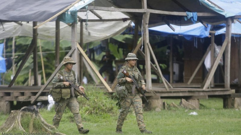 Descubren Campamento Clandestino en Darién: Un Refugio para Migrantes Irregulares